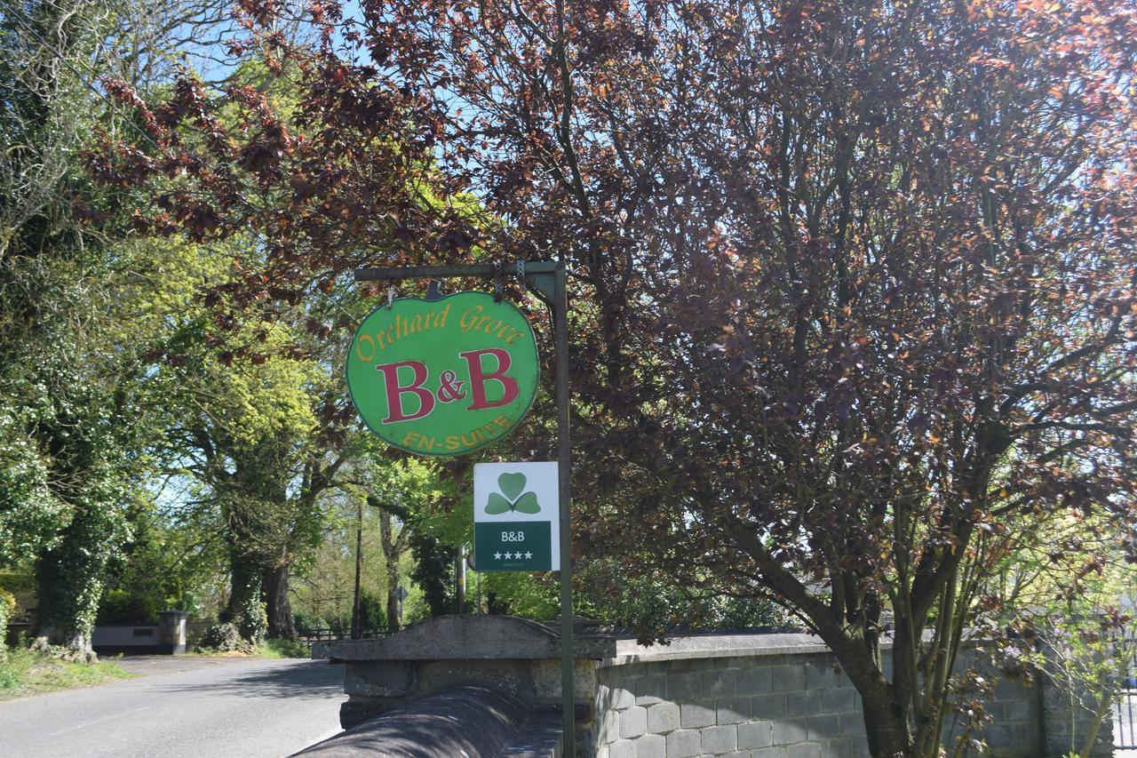 Orchard Grove Bed & Breakfast R21Rc58 Bagenalstown Exterior photo
